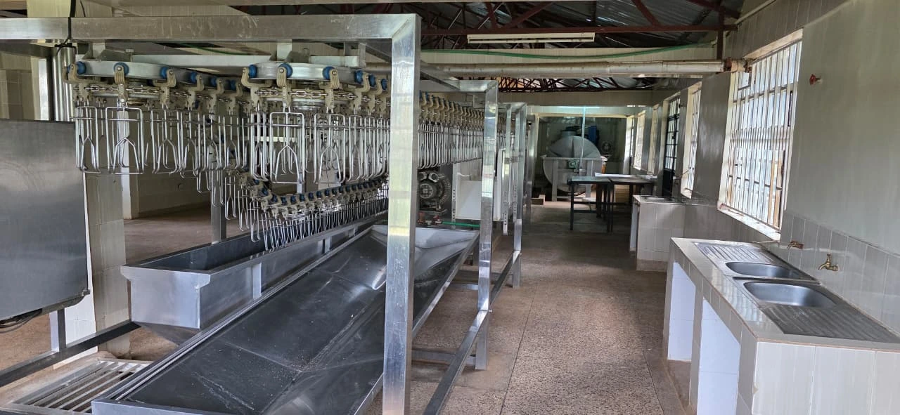 Production line project